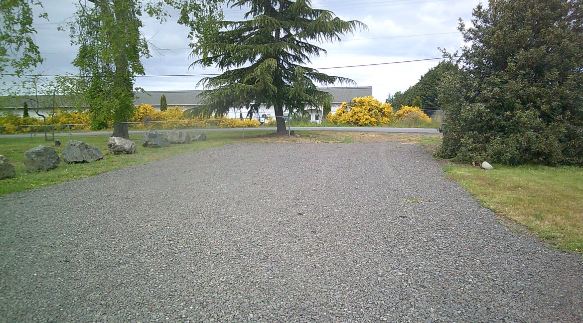 Digital Camera