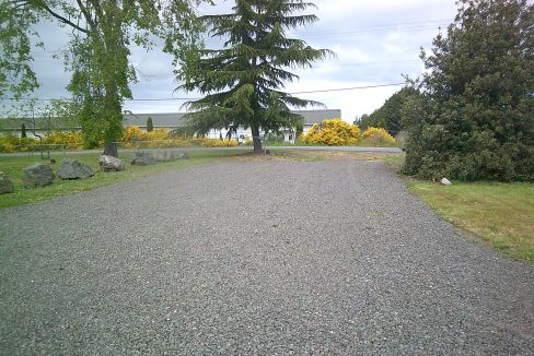 Digital Camera